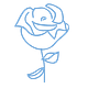 White Rose Intelligence