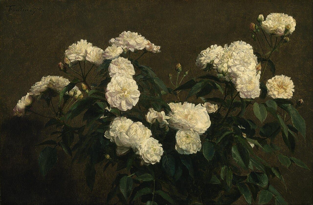 White roses in a plain jug against a dark wall White roses in a plain jug against a dark wall