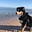 Emmiedog's avatar