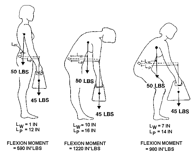 Biomechanics of Lifting Biomechanics of Lifting