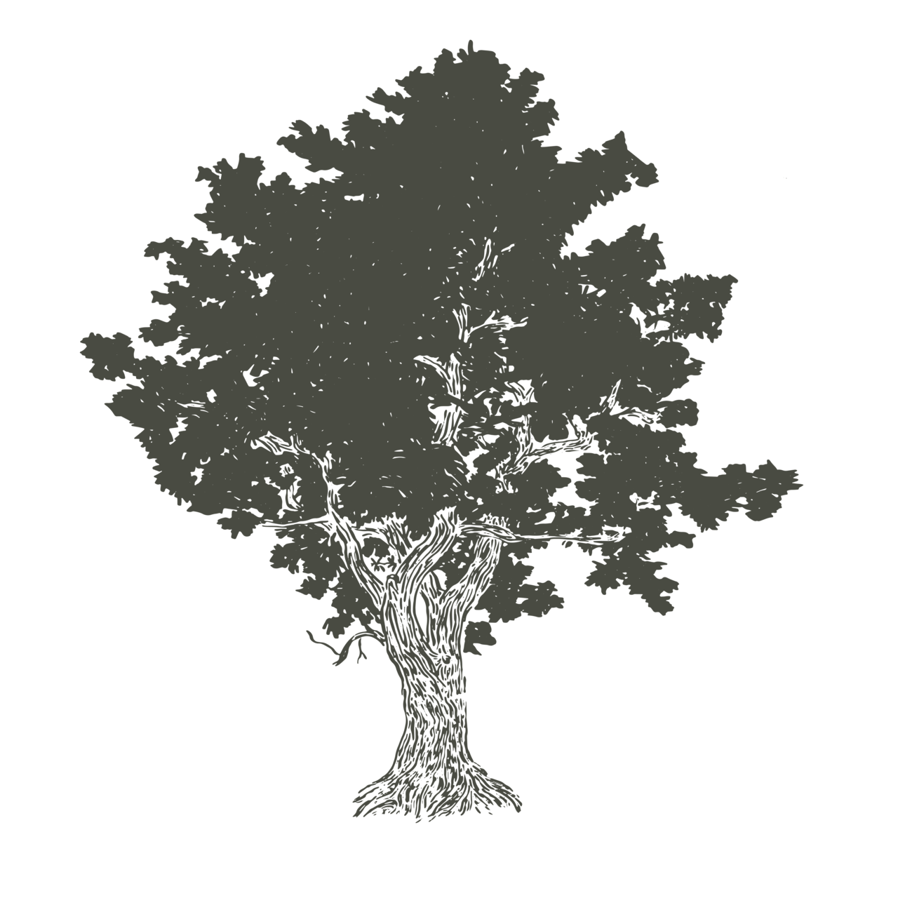 Bell Farm Miscellany