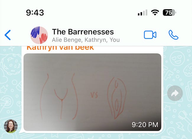 Various drawings of vulvas on a group chat