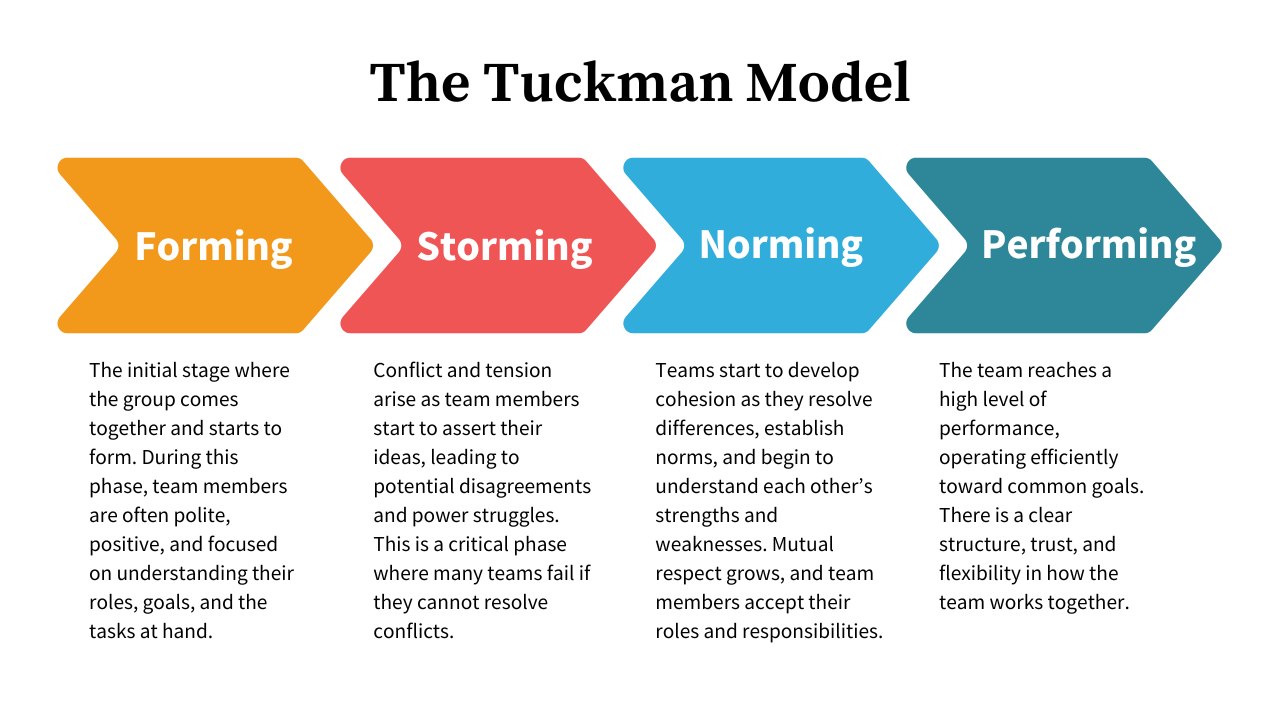 Flowchart illustrating the Tuckman Model stages: Forming, Storming, Norming, and Performing, each with descriptions explaining group development and dynamics.