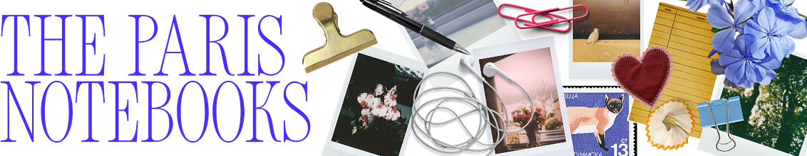 The Paris Notebooks