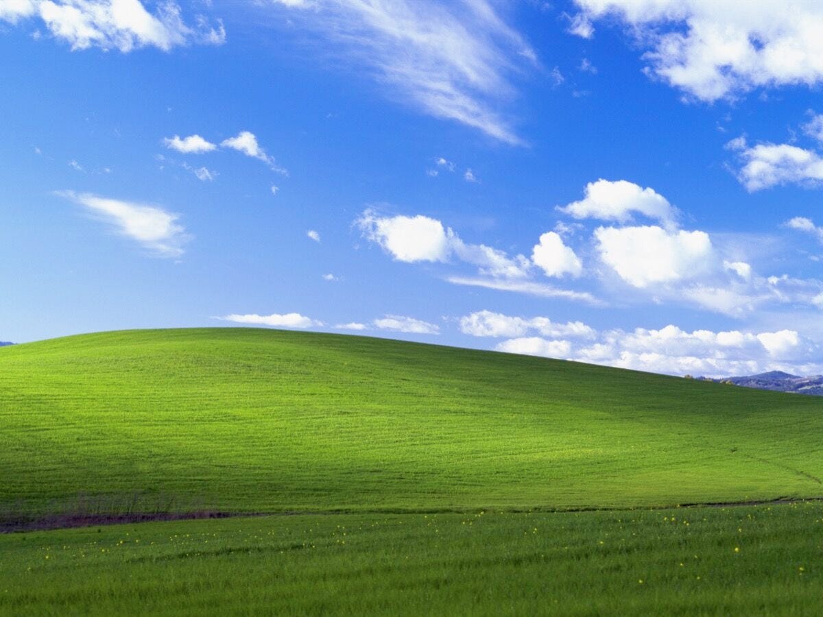 The Story behind the Famous Windows XP Desktop Background | Artsy The Story behind the Famous Windows XP Desktop Background | Artsy
