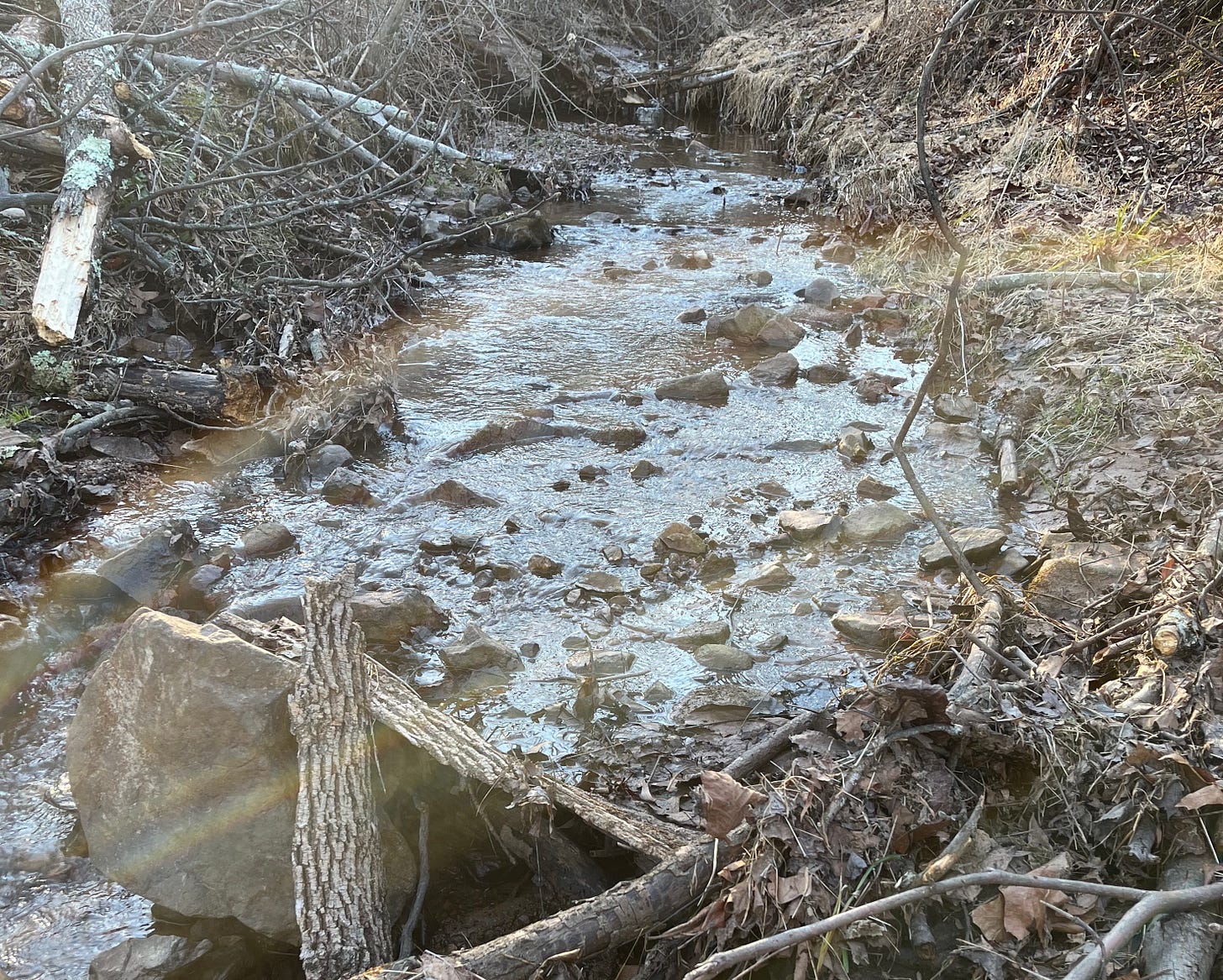 Photo of a creek flowing through a wooded area. Photo of a creek flowing through a wooded area.
