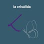 The Chrysalis | Casandra | Substack