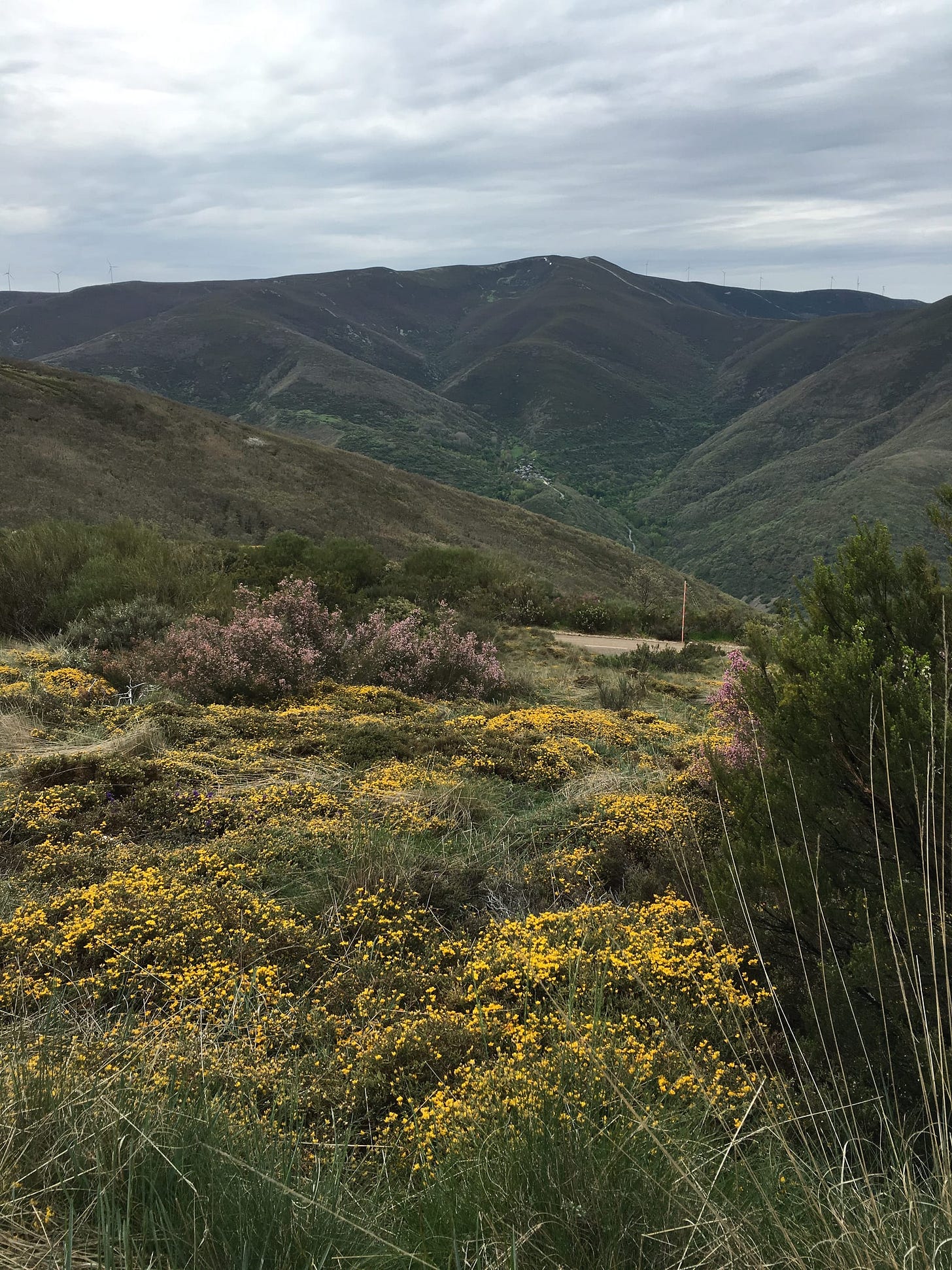 On Religion and Spirituality