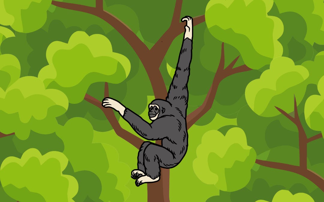 You Don’t Have to Cut Down a Forest to Destroy It