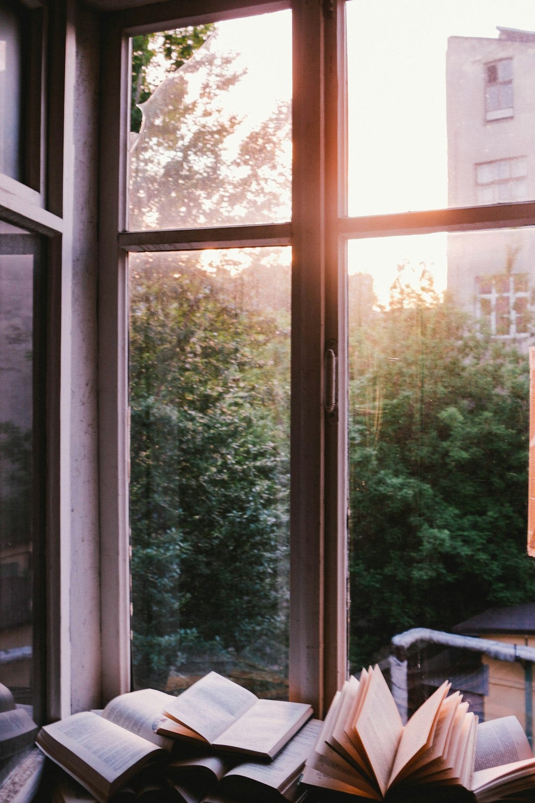 books beside window during sunset books beside window during sunset