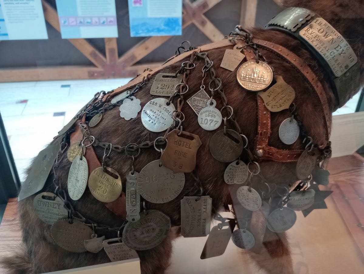 Stuffed dog wearing a sort of chain mail made of souvenir tags Stuffed dog wearing a sort of chain mail made of souvenir tags