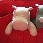 Through the Looking Glass