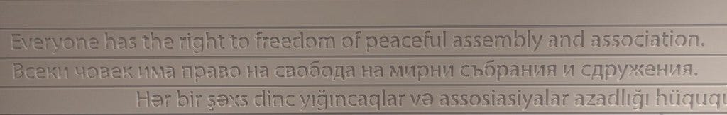 Part of the Declaration of Human Rights, "Everyone has the right to freedom of peaceful assembly and association" Part of the Declaration of Human Rights, "Everyone has the right to freedom of peaceful assembly and association"
