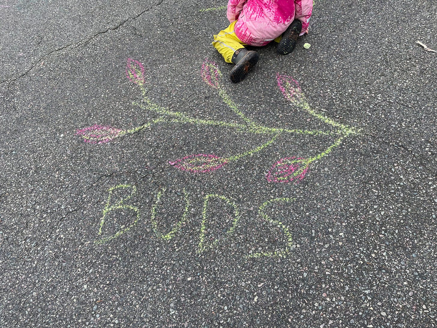 Image of a child in rain pants and a pink jacket above a chalk drawing on asphalt that reads: "BUDS"