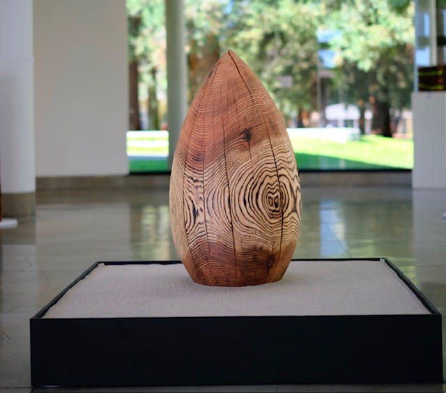 Seed-like wooden sculpture with visible concentric grain patterns, partially charred and displayed upright on a low square base filled with pale sand. Seed-like wooden sculpture with visible concentric grain patterns, partially charred and displayed upright on a low square base filled with pale sand.