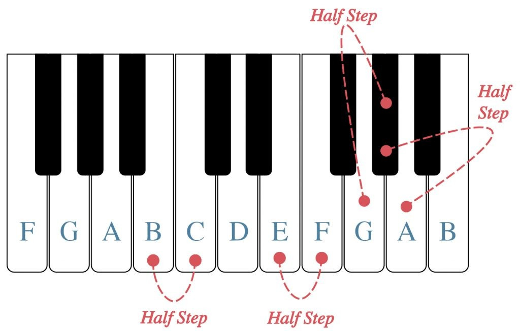 Half Steps and Whole Steps - by Chris Dreyer