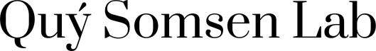 Quý Somsen