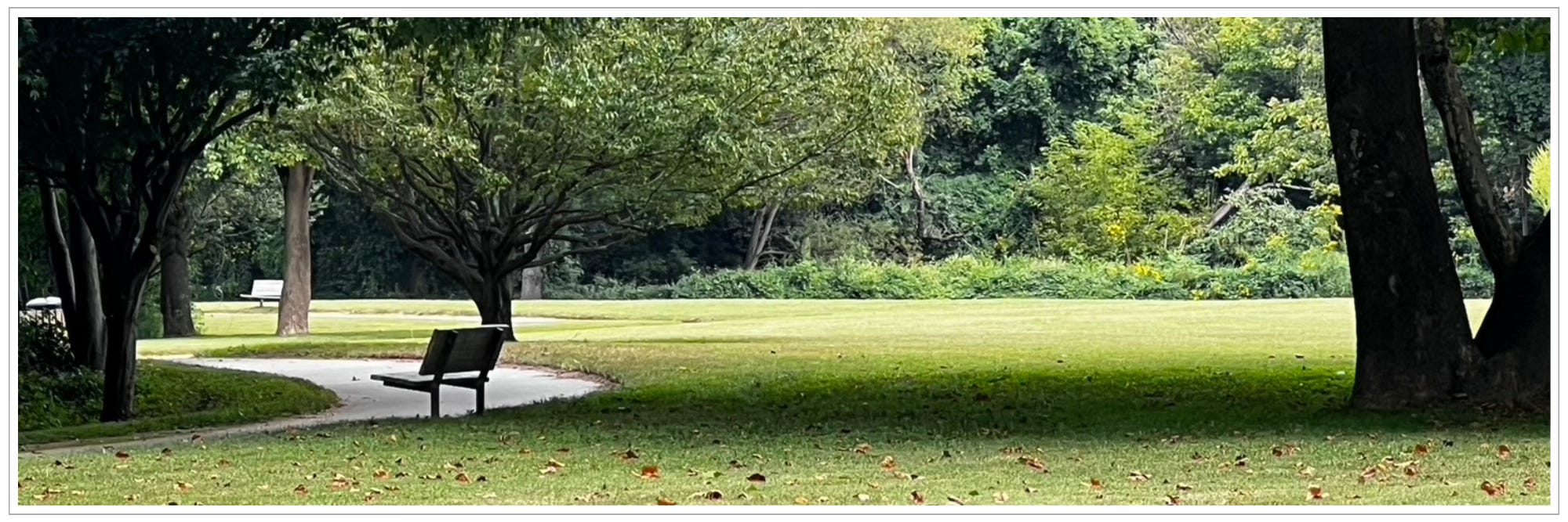 quiet park, empty benches, first fallen leaves