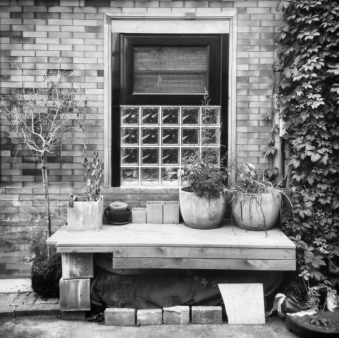 Window of a renovated house in one of Beijing’s historic hutongs.