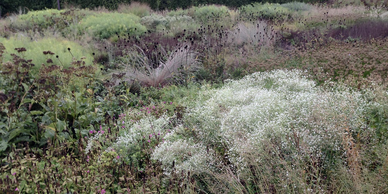 草長鶯飛: Gifts from the Garden