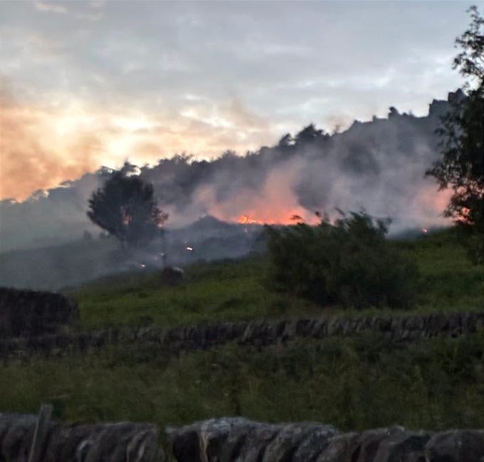 Calls for greater action to protect Staffordshire's wildlife from extreme weather