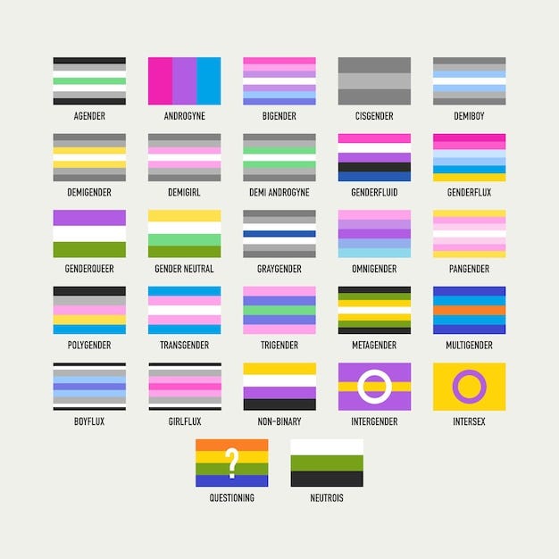 Collection of pride flags sexual and gender identity vector illustration |  Premium Vector