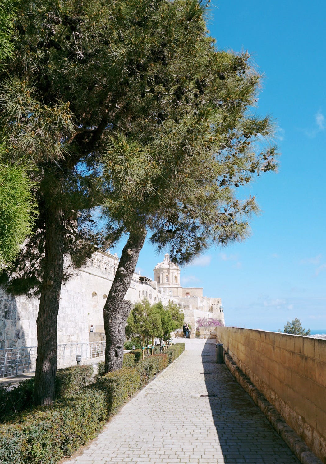 The city walls of Mdina, Malta on a sunny day, with trees and a white tower in the background.