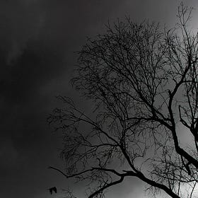 Nocturne