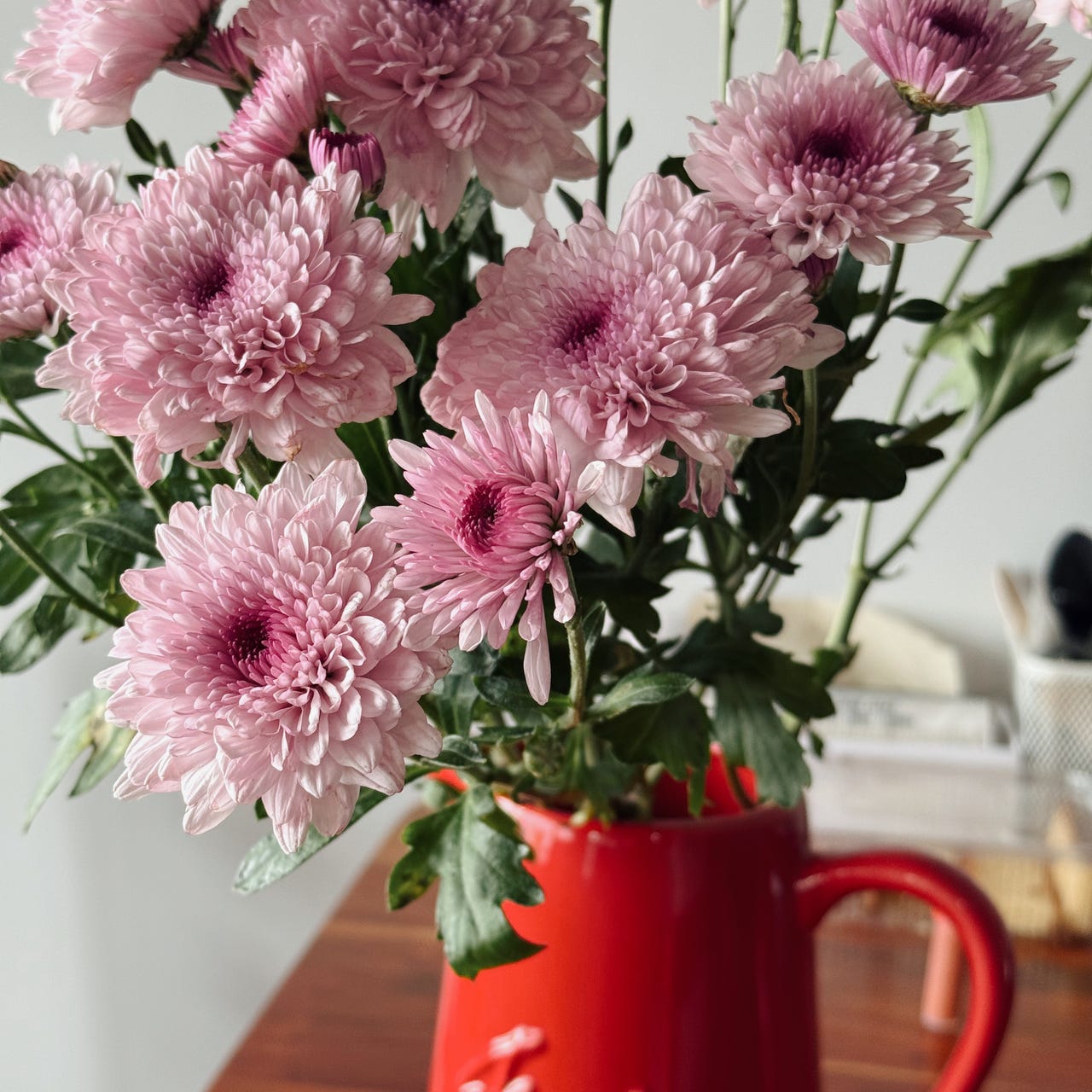 \ud83c\udf38 flowers and feelings ✨