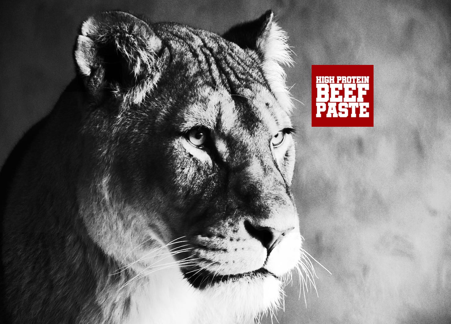 High Protein Beef Paste