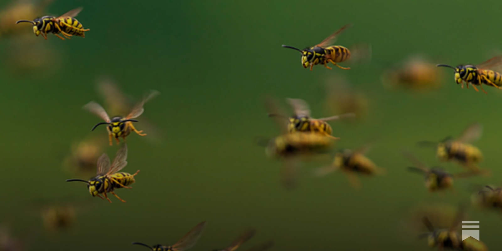 https://www.understandingai.org/p/why-agent-swarms-could-be-the-next social preview image