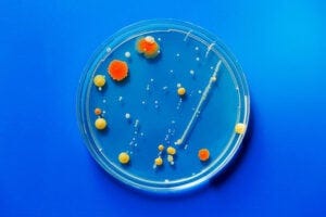 Scientists identify the compound that can inhibit the enzyme responsible for excess melanin accumulation in human skin and confirm its mechanism