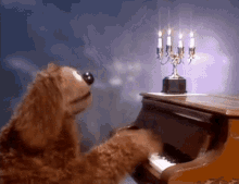The Muppet Show Rowlf GIF - The Muppet Show Rowlf Piano - Discover & Share  GIFs