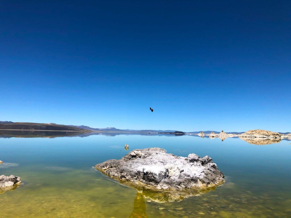 Exploring the Long Valley Caldera, California's Ancient Supervolcano