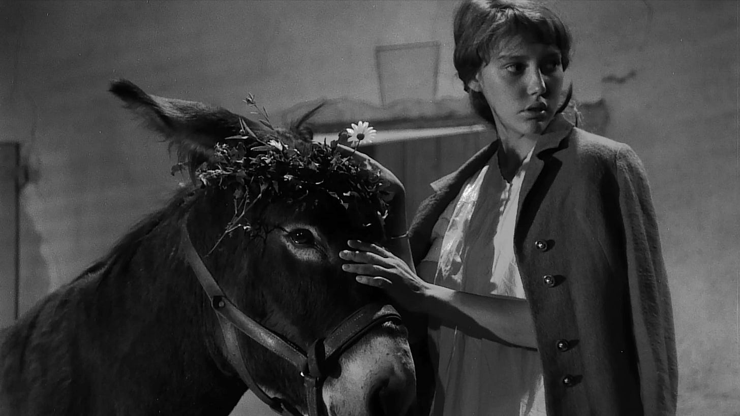 Au hasard Balthazar | Current | The Criterion Collection