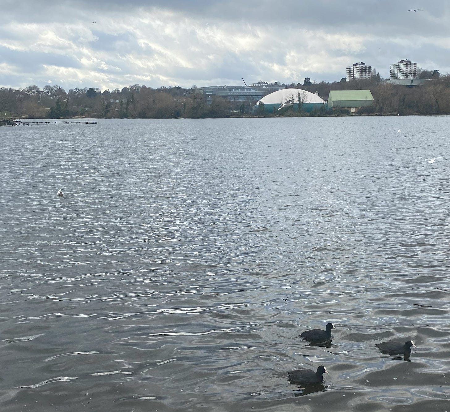 Rippling waves on the surface of the lake at Wimbledon Park