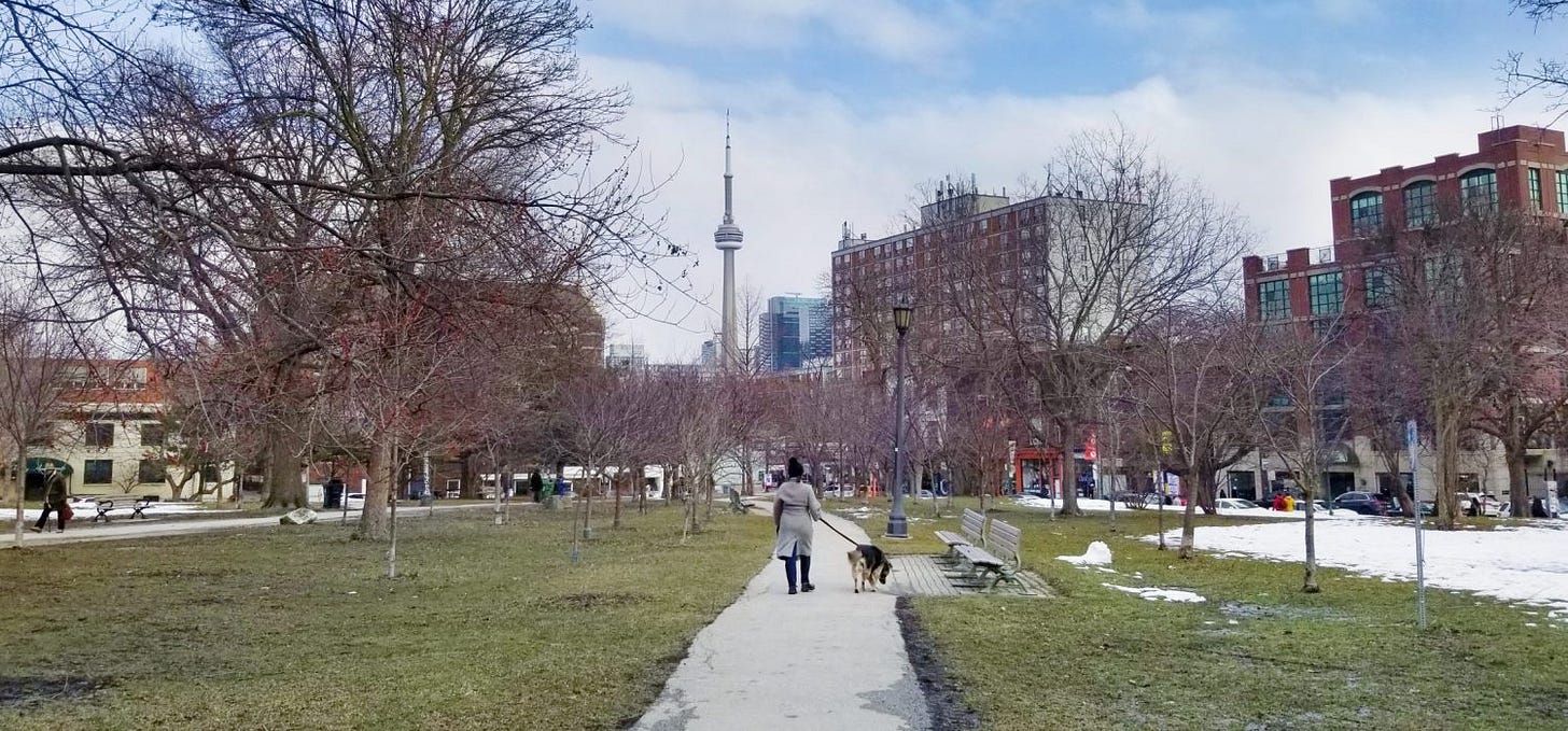 Toronto skyline, walking dog by woman in Trinity Bellwoods park Toronto skyline, walking dog by woman in Trinity Bellwoods park