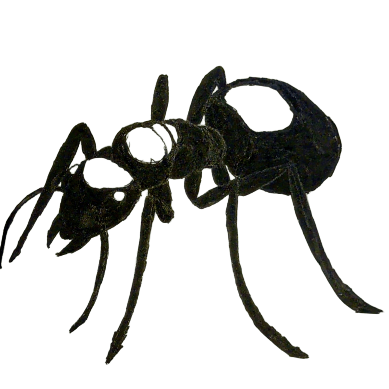 Ants logo
