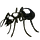 Ants