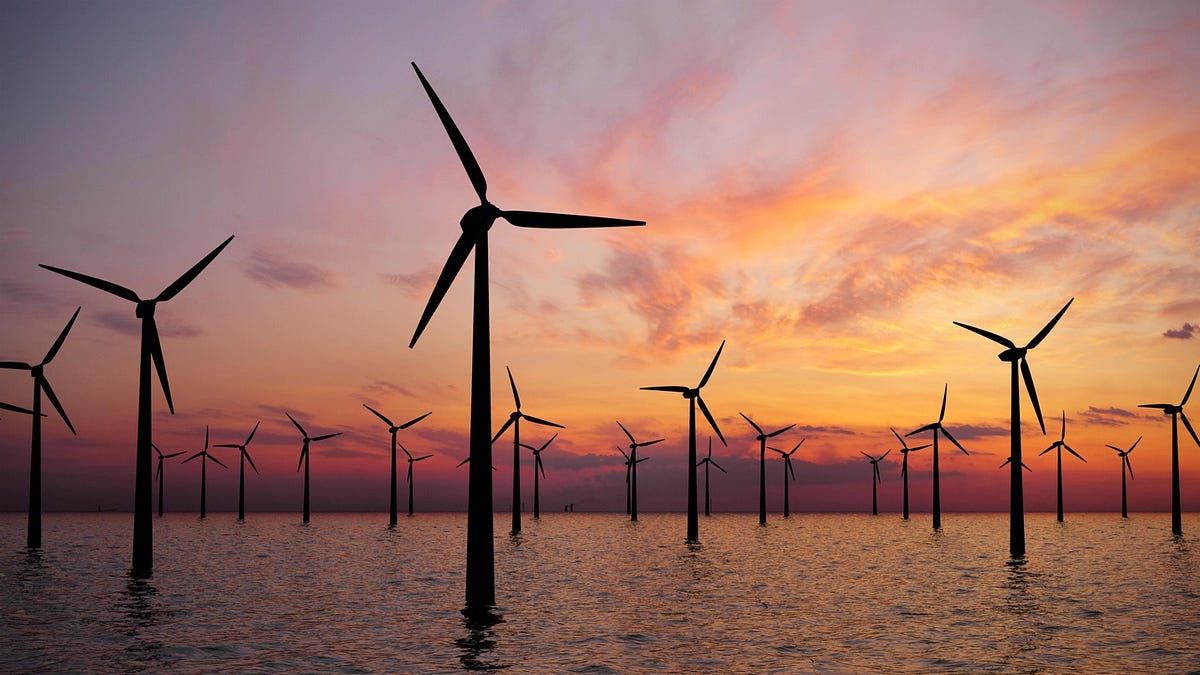 Cover image for The Rise of Renewable Energy