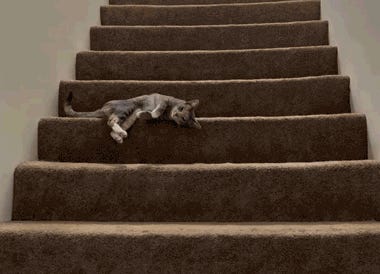 HEY DAD, I'M IN JAIL. Tabs, Fri., Sept. 26, 2025