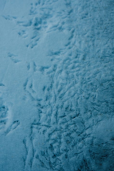 Fuji photographs of life in Montana by Tyler Knott Gregson