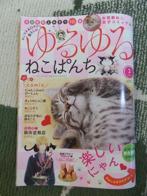 Japanese Cat Comic Japanese Cat Comic