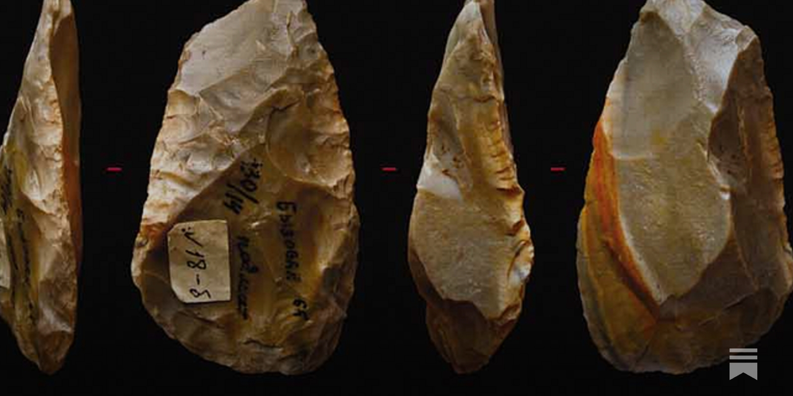 洋書 Sourcebook of Paleolithic Transitions twitter.jpg?version=4