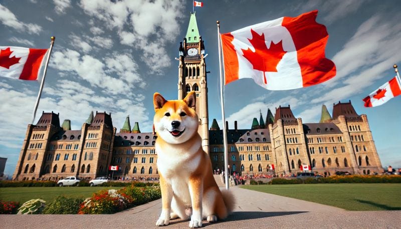 Image preview Image preview