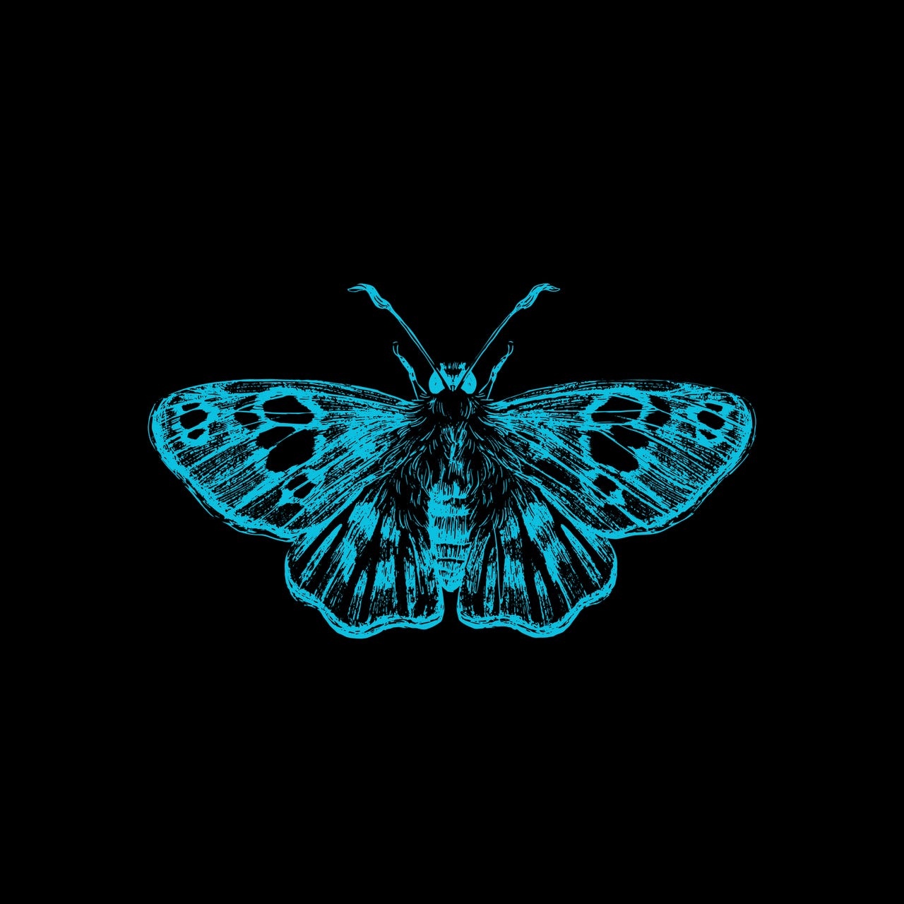 Ramona Moth