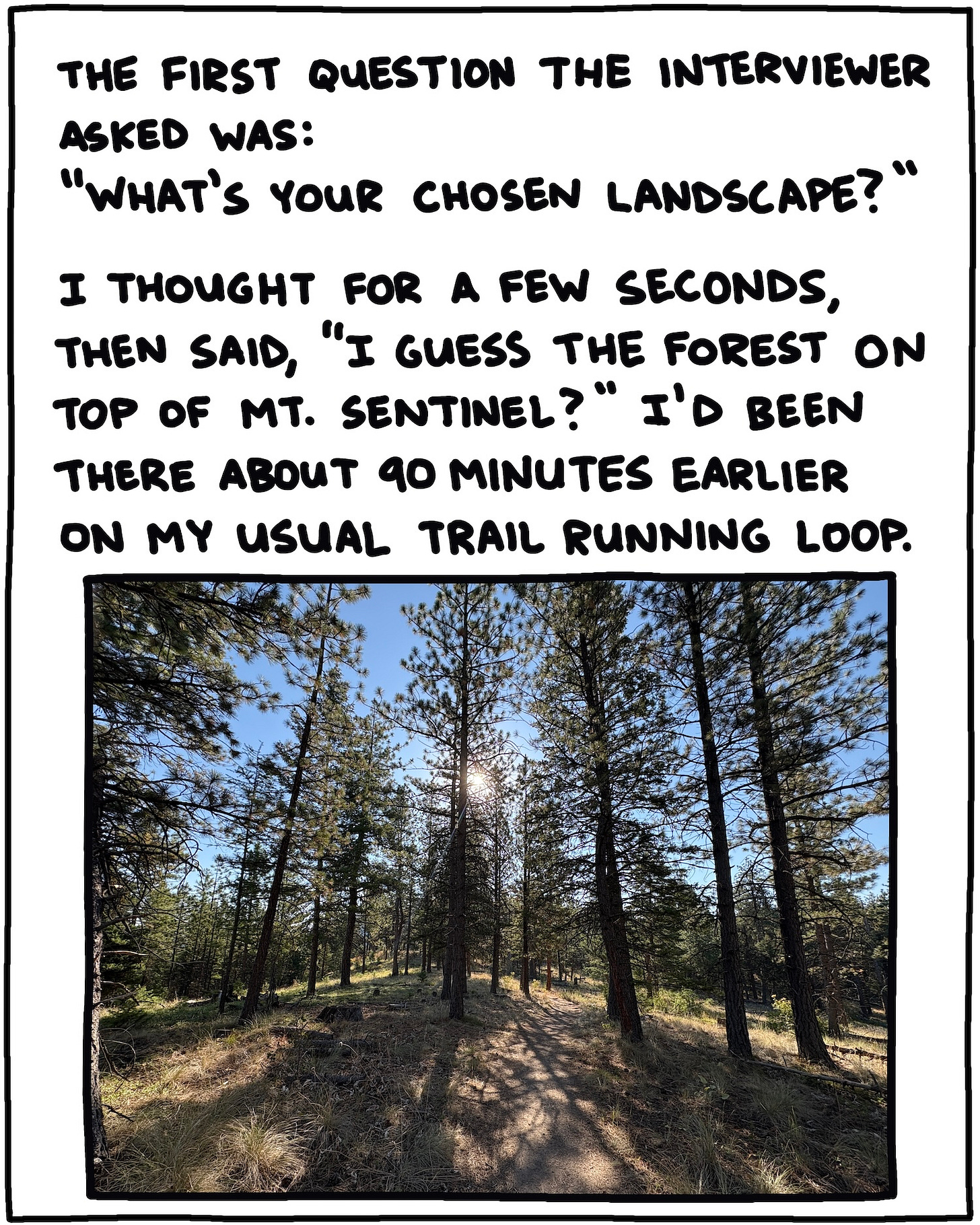 Photo of forest and text: The first question the interviewer asked was: “What’s your chosen landscape?” I thought for a few seconds, then said, “I guess the forest on top of Mt. Sentinel?” I’d been there about 90 minutes prior, on my usual trail running loop.