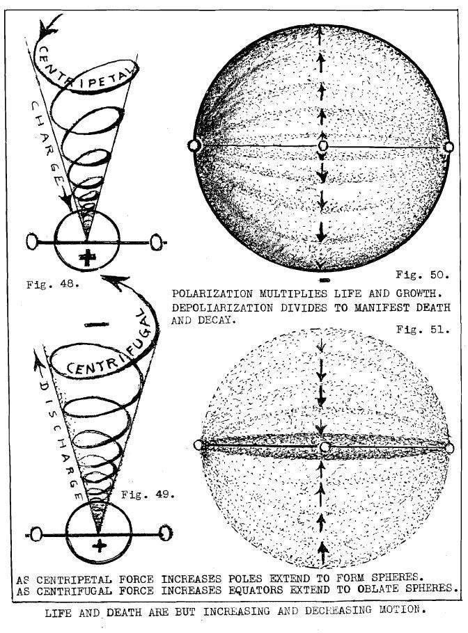Russellian science