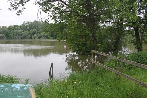 Pictures of cranes and the flooded fields in Lonjsko Polje Nature Park in Croatia