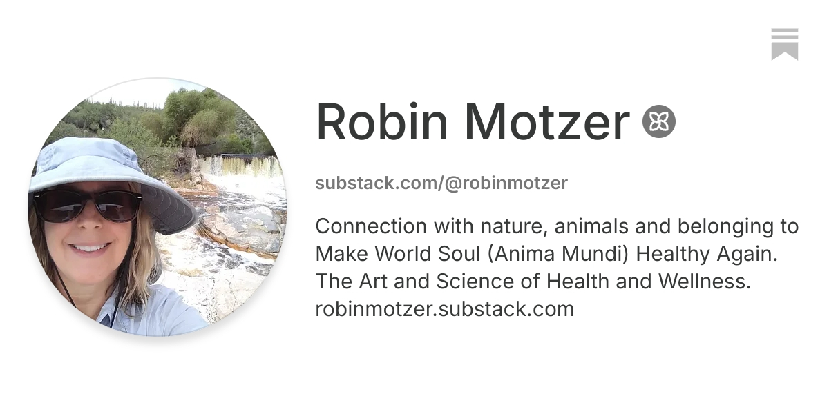 Robin Motzer | Substack